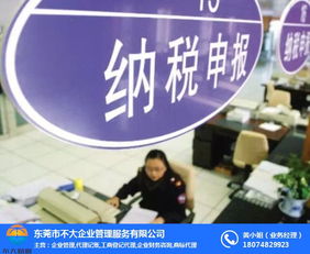 东莞注册营业执照全攻略 费用明细与优质财务咨询服务推荐