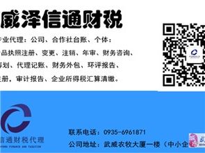武威在线财务信息咨询服务 本地企业与家庭的智慧财务伙伴